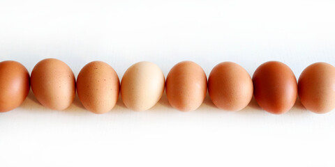Gruppo di uova fresche isolate su sfondo bianco. Concetto di cibo sano e proteico. Copia spazio.