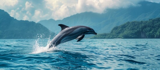 Graceful Dolphin Leaping in Front of Majestic Mountain Range