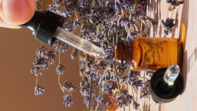 Dried lavender flowers with glass dropper of natural essential oil. Organic herbal aromatherapy healthy glass bottle. Home fragrance extract. Beauty care. Vertical footage 