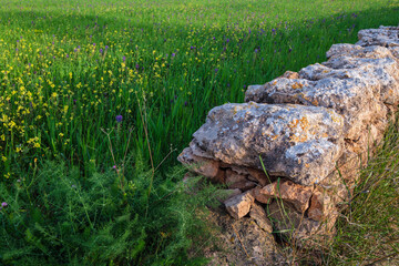 Fototapeta na wymiar traditional stone walls for agricultural land, Formentera, Pitiusas Islands, Balearic Community, Spain