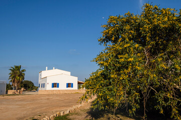 Fototapeta na wymiar typical house near Cala en Baster, Formentera, Pitiusas Islands, Balearic Community, Spain