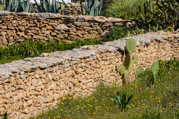 traditional stone walls for agricultural land, Portosale, Formentera, Pitiusas Islands, Balearic Community, Spain