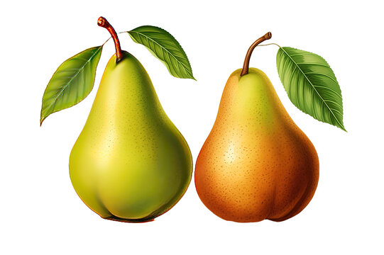 Pears. Red, green, yellow pear icon isolated on PNG Background. Generative Ai.