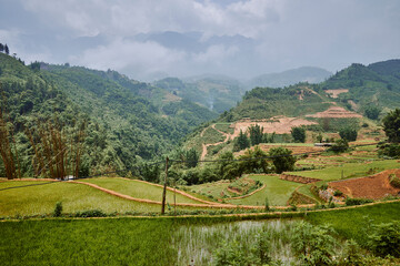 village rice fields in mountains in sapa, vietnam - 747084465