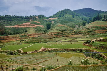 village rice fields in mountains in sapa, vietnam - 747084606