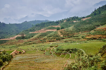 village rice fields terrace in mountains in sapa, vietnam - 747084622
