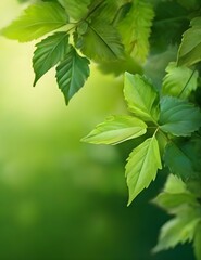 Fototapeta na wymiar summer nature green leaves abstract background Generative AI