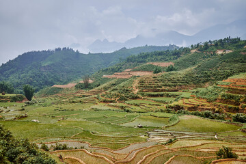 village rice fields terrace in mountains in sapa, vietnam - 747084640