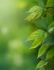 Fototapeta na wymiar summer nature green leaves abstract background Generative AI