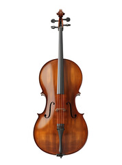 Obraz premium violin isolated
