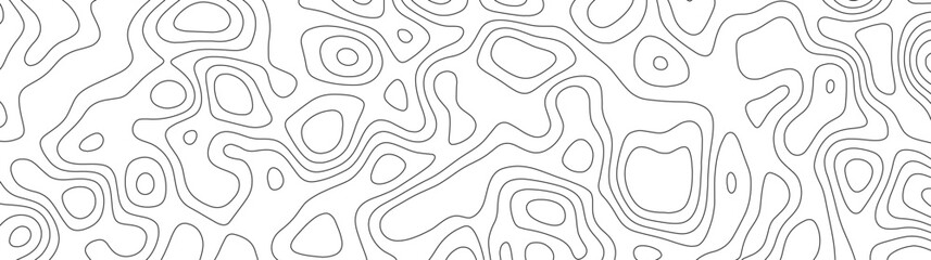 Abstract geographic curved, vector illustration. seamless textrue, vintage waves. Panorama view multicolor wave curve line. Topography map pattern, swirl line. white paper curved reliefs background.