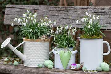 Frühlings-Gartenarrangement mit Schneeglöckchen in vintage Gefäßen © Natalia Greeske