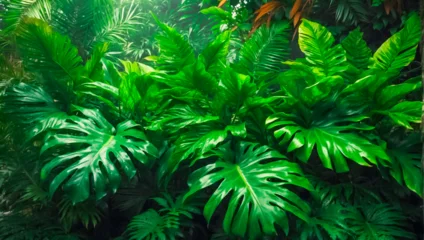 Poster tropics, tropical trees, tropical leaves, nature, tropical landscape, natural trees, natural leaves, bright green © 9MOR