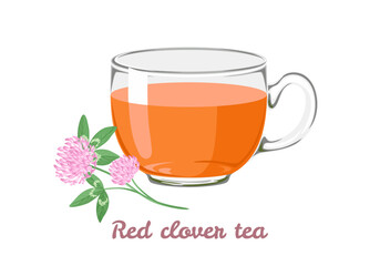 Red clover tea in transparent glass cup. Vector cartoon illustration of herbal tea.