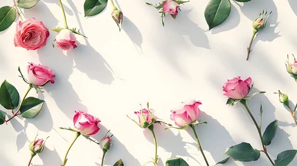 Foto op Canvas Floral composition made of beautiful pink rose buds lying on white background with sunlight. Nature concept. Summer theme. Minimal style banner. Top view. Flat lay. Generative Ai © mahaart