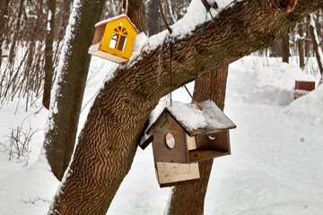 bird house in winter