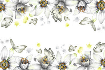 A border with orange flowers, a fragrant orange tree flower. A frame of citrus flowers with butterflies. Hand-drawn watercolor illustration. For packaging perfumes, postcards and labels. For banners.