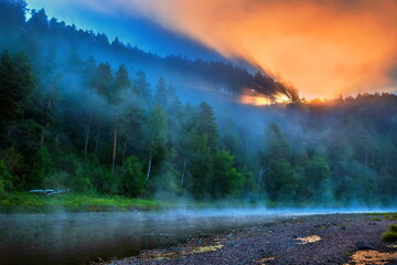 The morning sun breaks through the fog against the background of the forest outline