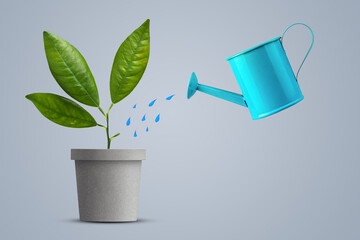 Watering can for flowers, watering with a sprout with leaves. On a grey background. Growth concept. Care. Business.