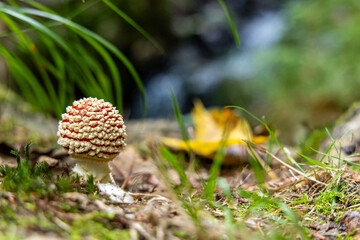 Nationalpark sächsische Schweiz Bilder aus dem Elbsandsteingebirge