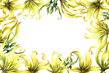 A frame with ylang-ylang flowers. A border with exotic fragrant yellow flowers. A hand-drawn watercolor illustration. An element of the design of packaging, postcards and labels. For a banner, a flyer