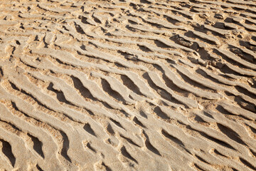 Natural patterns in sand in dunes. Space for text. Background.
