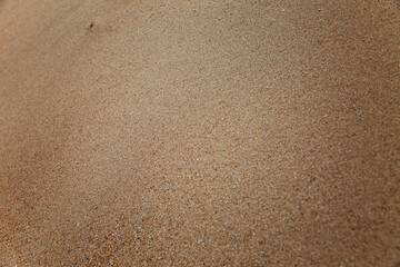Fototapeta na wymiar Sand surface. Beach and desert. Space for text.Background.