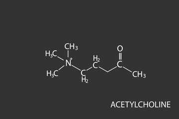 acetylcholine molecular skeletal chemical formula	