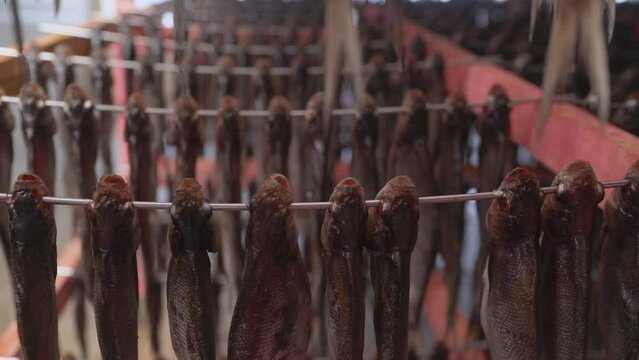 Drying fish on an industrial scale. Drying Fish in Bangladesh. Cooking dried processed Asian fish in a shaky dried fish factory. Fish products, dried fish.