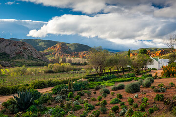 Red Stone Hills, Calitzdorp Farm in the Karoo with old rural houses, valleys pastures aloes and fields of sheep in serene farm lands and the swartberg mountains in south africa.