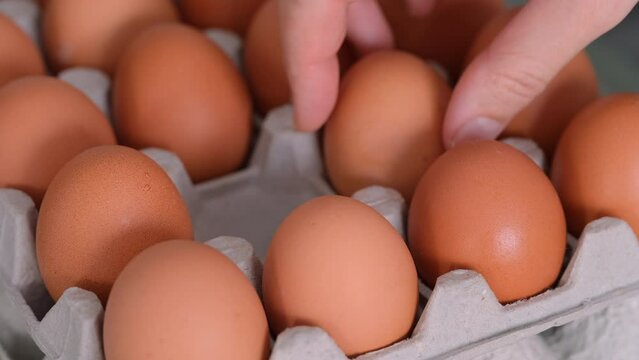Woman hand taking chicken eggs from a carton of eggs