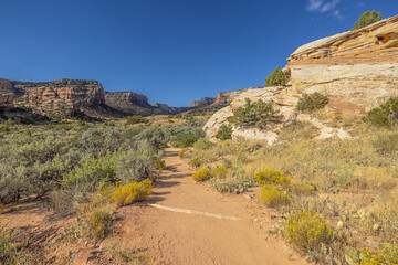 The trail to Devil's Kitchen in the Colorado National Monument