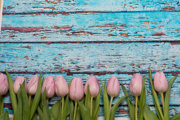 tulips on a wooden background