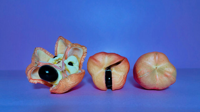 Life cycle of the ackee fruit on a pink background