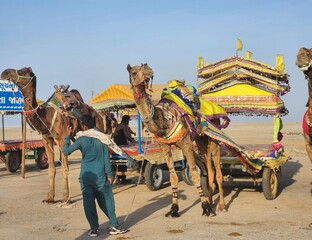 Bhuj, Gujarat India - Feb 19 2024: White desert of kutch - rann of kutch - safed run, Rann Utsav in...