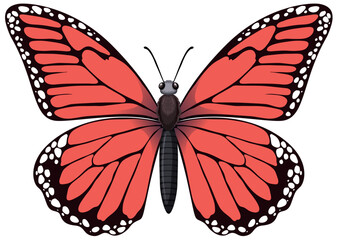 A detailed, colorful vector of a red butterfly.