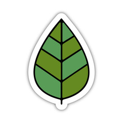 Icones symbole logo feuille arbre culture nature ecologie couleur relief