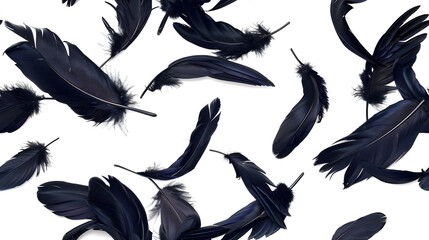 crow feathers falling on white background