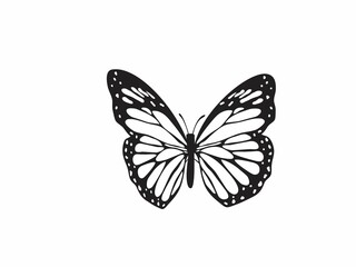 Fototapeta na wymiar Black butterfly isolated on white background.
