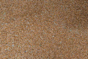 wheat bean drying in a yard - Sun-dried wheat - natural wheat drying