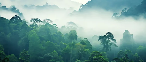 Fotobehang Rainforest morning fog © Syahrul Zidane A