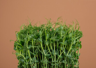 Sprouted green peas. Healthy diet, weight loss.