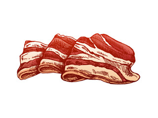 Hand-drawn colored vector sketch of hamon or pork meat, ham slice. Italian prosciutto vintage sketch. Butcher shop. Great for label, restaurant menu. Engraved image.