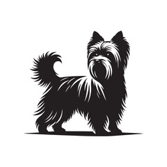 Yorkshire Terrier Silhouette: A Graceful Tribute to the Charm and Elegance of this Beloved Canine Companion. Vector Yorkshire Terrier Silhouette.