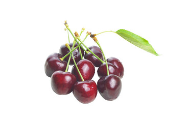 There are red cherries on a white background