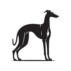 Elegant Grace: Vector Greyhound Silhouette - Capturing the Majestic Beauty and Graceful Form of this Iconic Canine Breed.