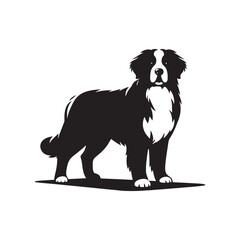 Bernese Mountain Dog Silhouette: A Majestic Tribute to the Strength, Loyalty, and Beauty of this Beloved Canine Companion. Vector Bernese Mountain Dog Silhouette. - obrazy, fototapety, plakaty