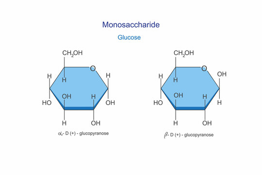 Structure of Glucose, Fructose and Galactose