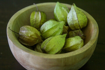 ciplukan or Physalis angulata is a wild plant, its fruit is like a small bell, the fruit is wrapped in a thin layer resembling paper