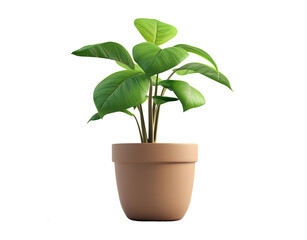 Plant with leaves in pot isolated on transparent background. Gardening concept in cartoon minimal style. Houseplant